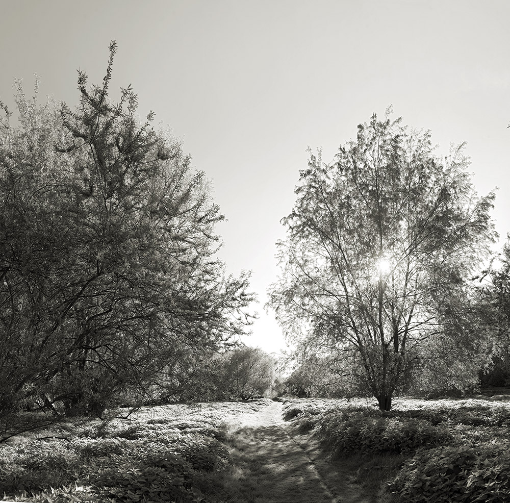 Preview Rheinweg 3 sepia.jpg